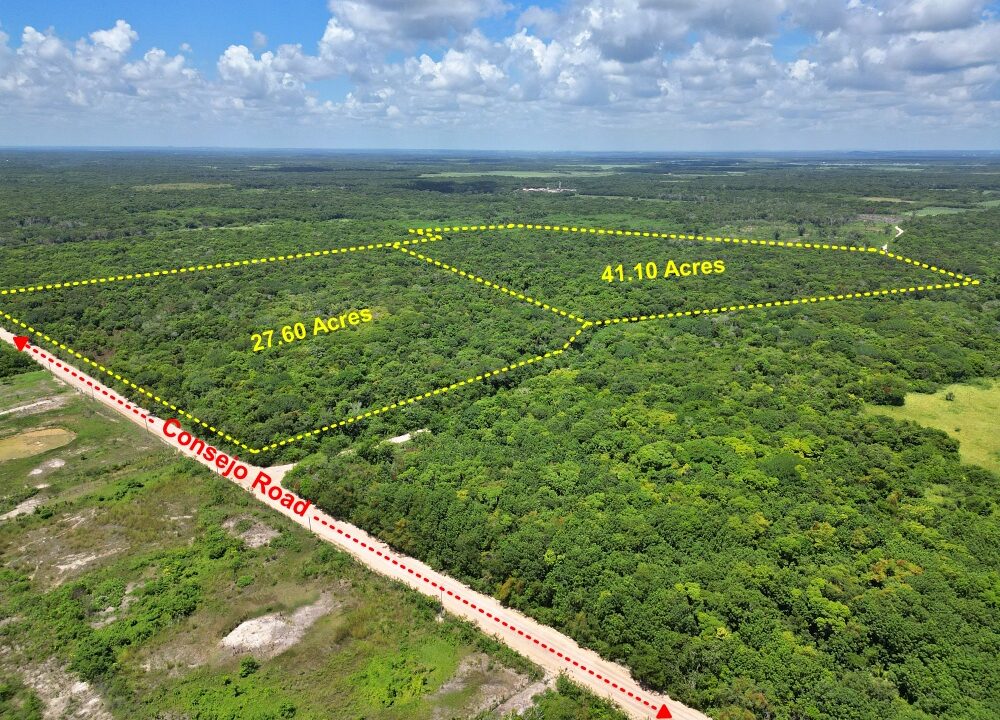 Web27and41Acres3