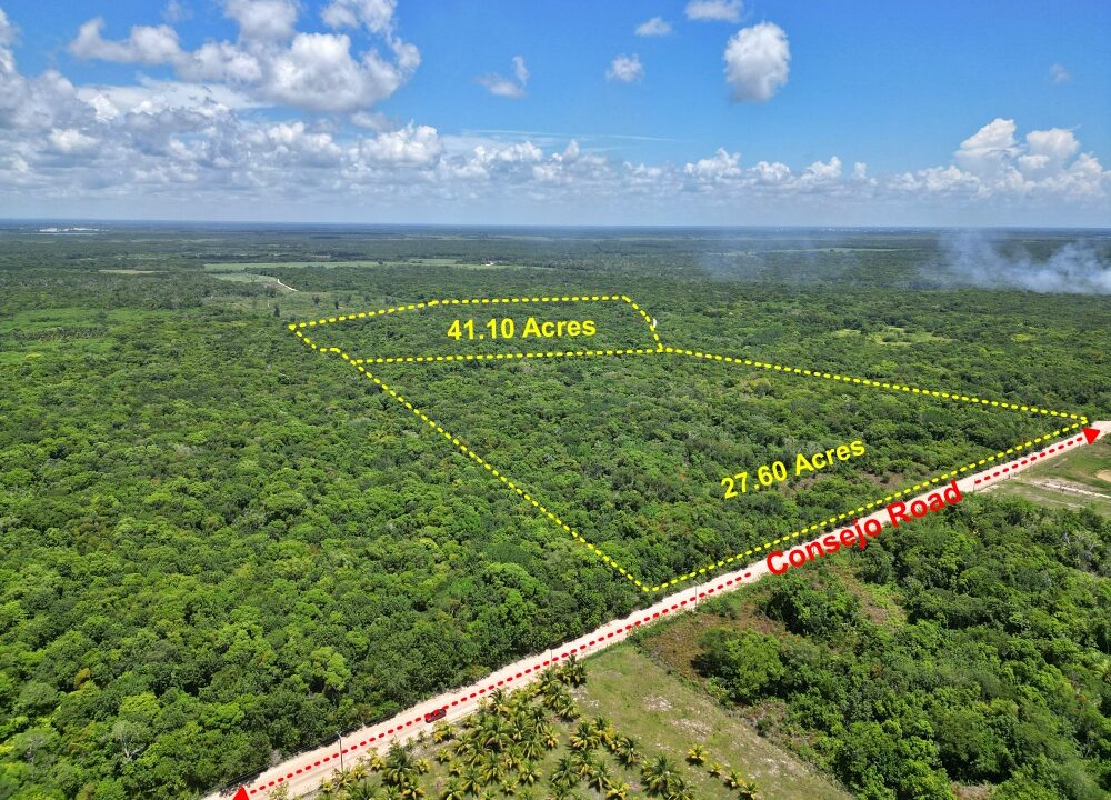 Web27and41Acres4