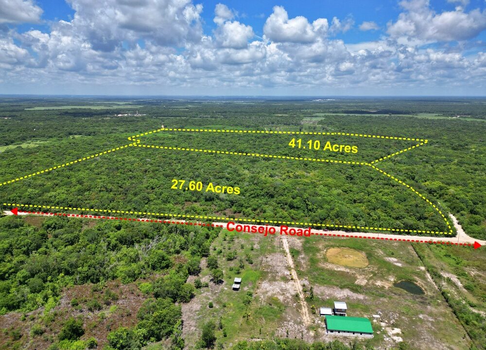 Web27and41Acres5