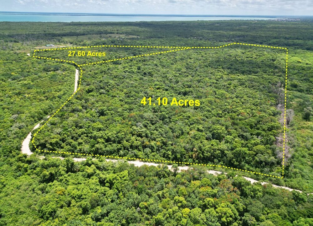 Web41&27Acres1a