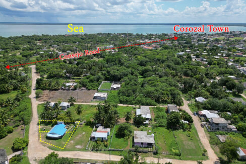 Website_202