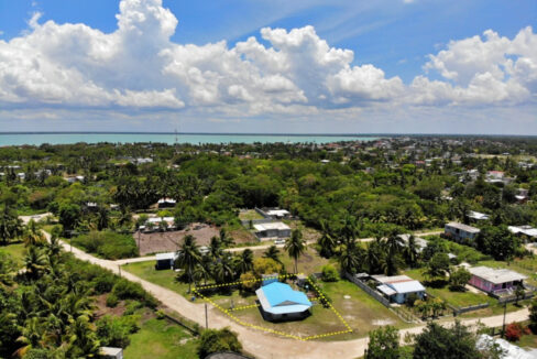 Website_203