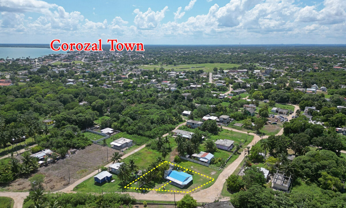 Website_206