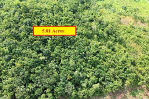 aerial-3-1-835x467