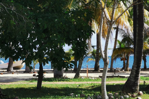 affordable-jungle-in-mayacan-1