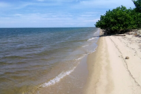 beach-view-looking-south
