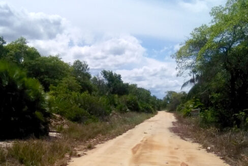beachfront-road-looking-north