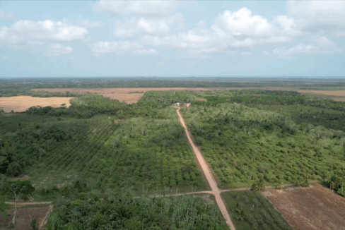 belize-kendall-for-sale-land