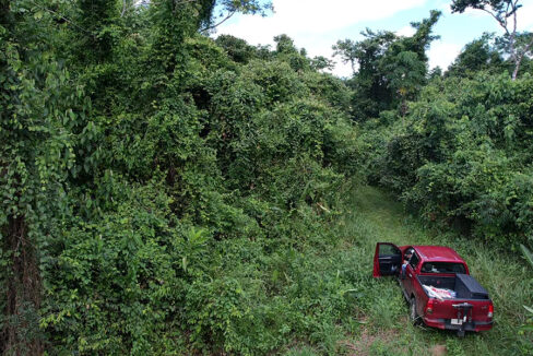 belize-property-with-creek