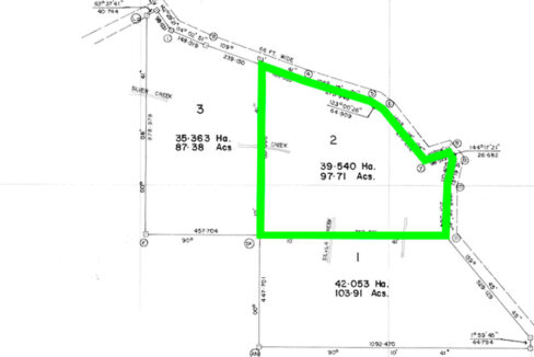 belize-survey-for-97-acres-of-jungle