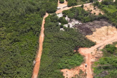 caribbean-way-plantation-belize-for-sale