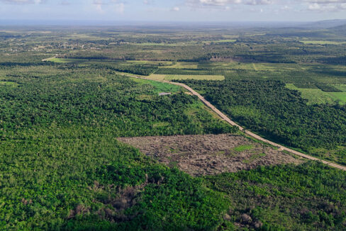 coastal-highway-large-lot-for-sale