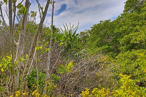 commercial_lot_near_blu_zen_002_caye_caulker_belize-1
