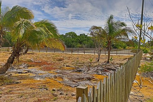 commercial_lot_near_blu_zen_004_caye_caulker_belize-1