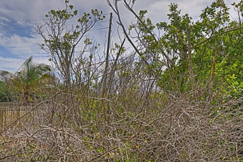 commercial_lot_near_blu_zen_006_caye_caulker_belize-1