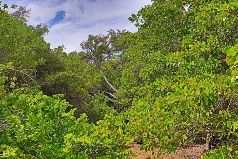 commercial_lot_near_blu_zen_007_caye_caulker_belize-1