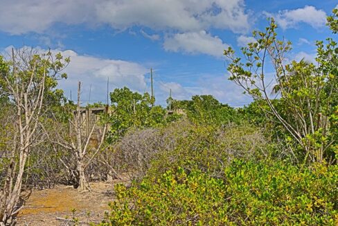 commercial_lot_near_blu_zen_008_caye_caulker_belize-1