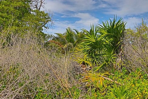 commercial_lot_near_blu_zen_010_caye_caulker_belize-1