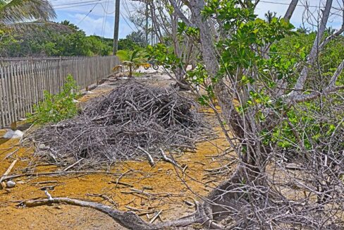 commercial_lot_near_blu_zen_011_caye_caulker_belize-1