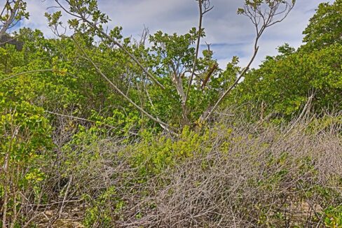 commercial_lot_near_blu_zen_012_caye_caulker_belize-1