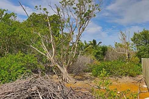 commercial_lot_near_blu_zen_014_caye_caulker_belize-1