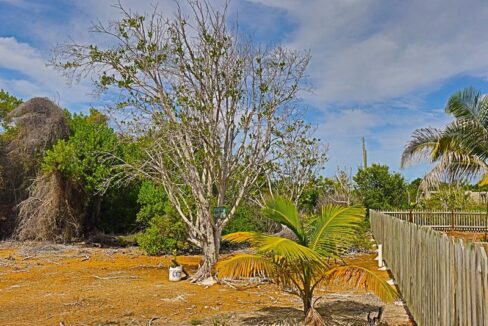 commercial_lot_near_blu_zen_017_caye_caulker_belize-1