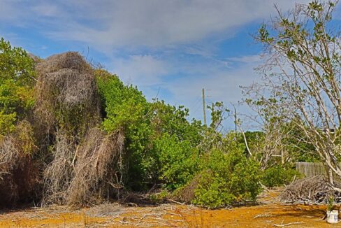 commercial_lot_near_blu_zen_018_caye_caulker_belize-1