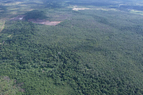 developer-jungle-for-sale-belize