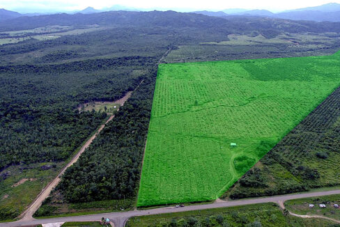 farm-for-sale-belize