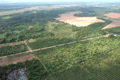 farmland-for-sale-belize