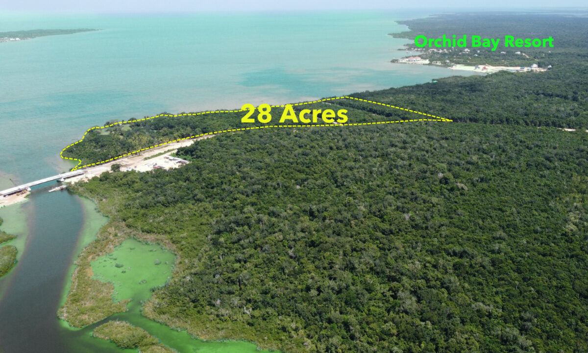 freedom_20acreage_2028_20acres_20onlyxxx_202