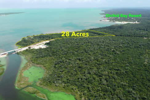 freedom_20acreage_2028_20acres_20onlyxxx_202