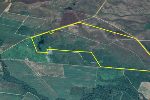 google-map-rs-2