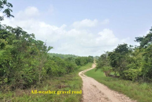 image-5-1-1-835x467