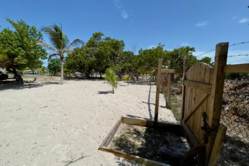image10