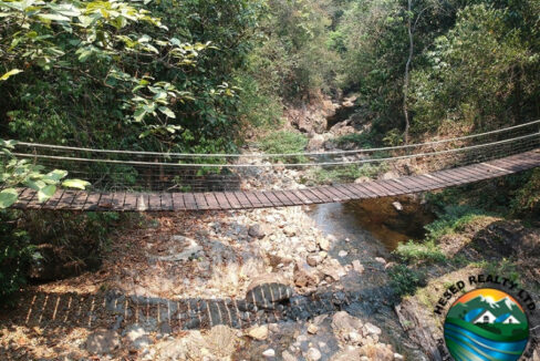 image_1