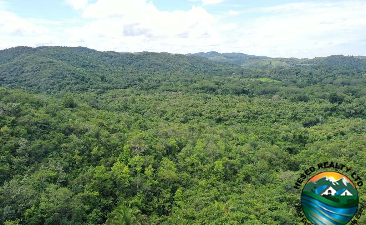 image_11-1