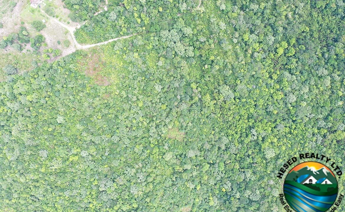 image_12-1