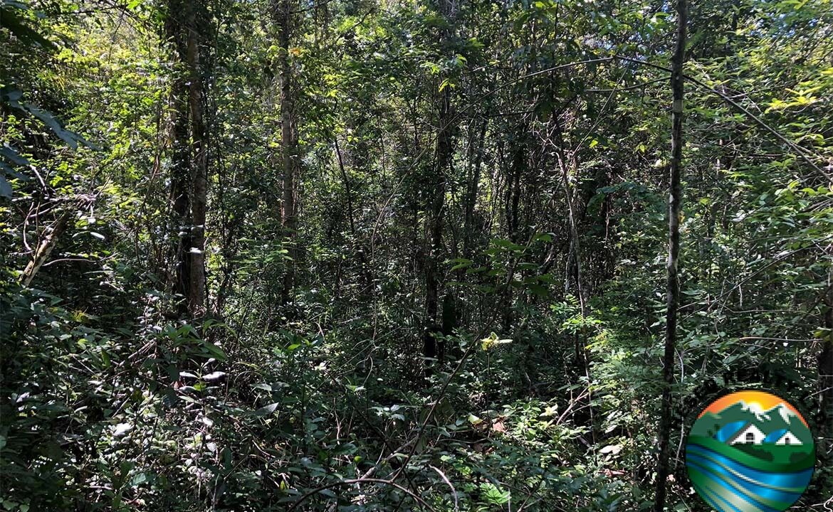 image_13-1