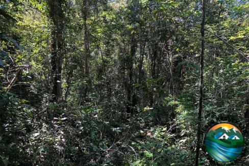 image_13-1