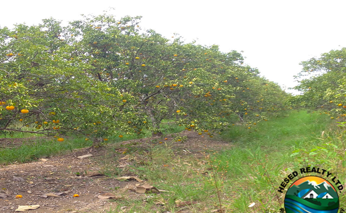 image_2-13