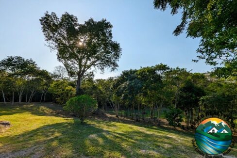 image_24-2