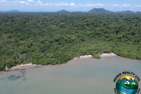 image_3 (1)