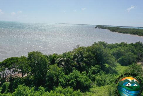 image_4-1