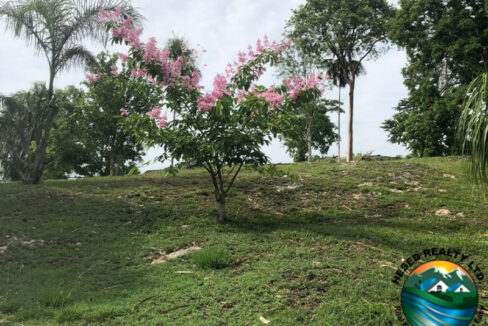 image_4-1