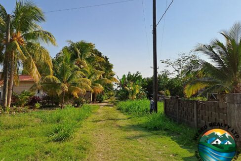 image_4