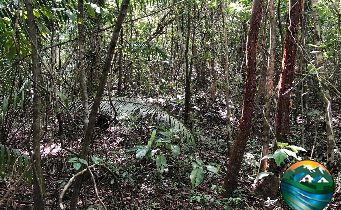 image_4-7