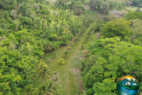 image_5-1