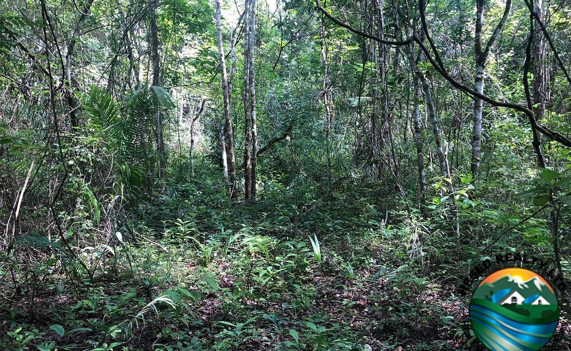 image_5-6