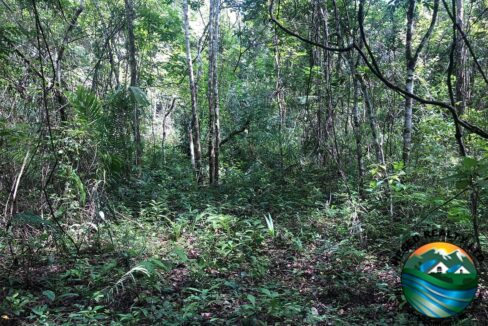 image_5-6